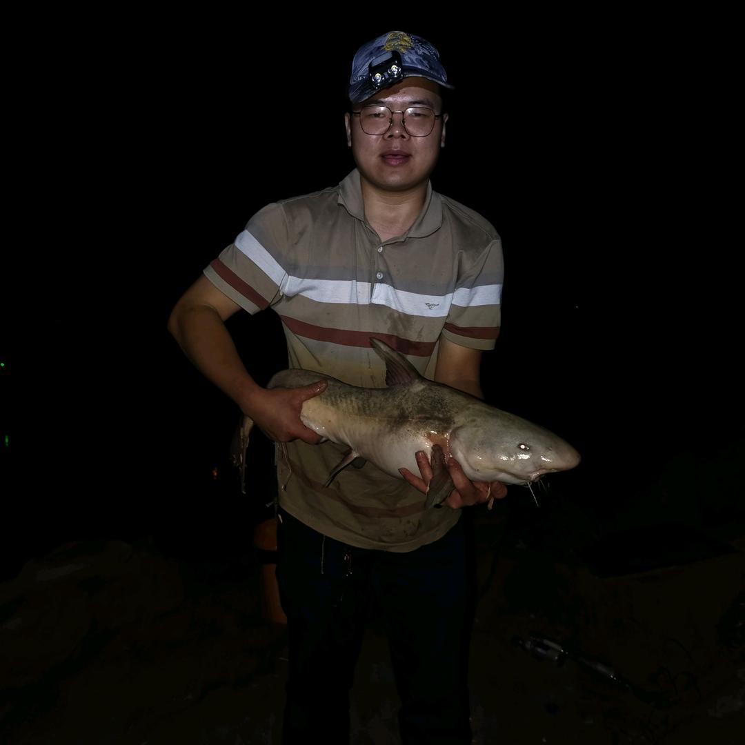 江钓爬山虎