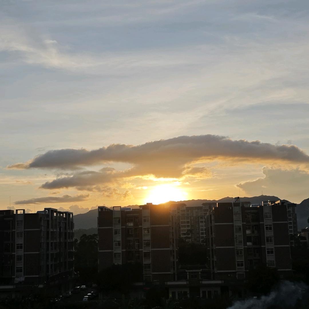 皮蛋solo粥