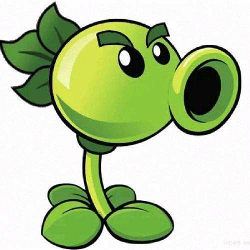 🟢  🟢  🟢  🟢 🟢 🟢