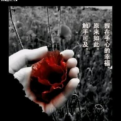 %W%仙笙