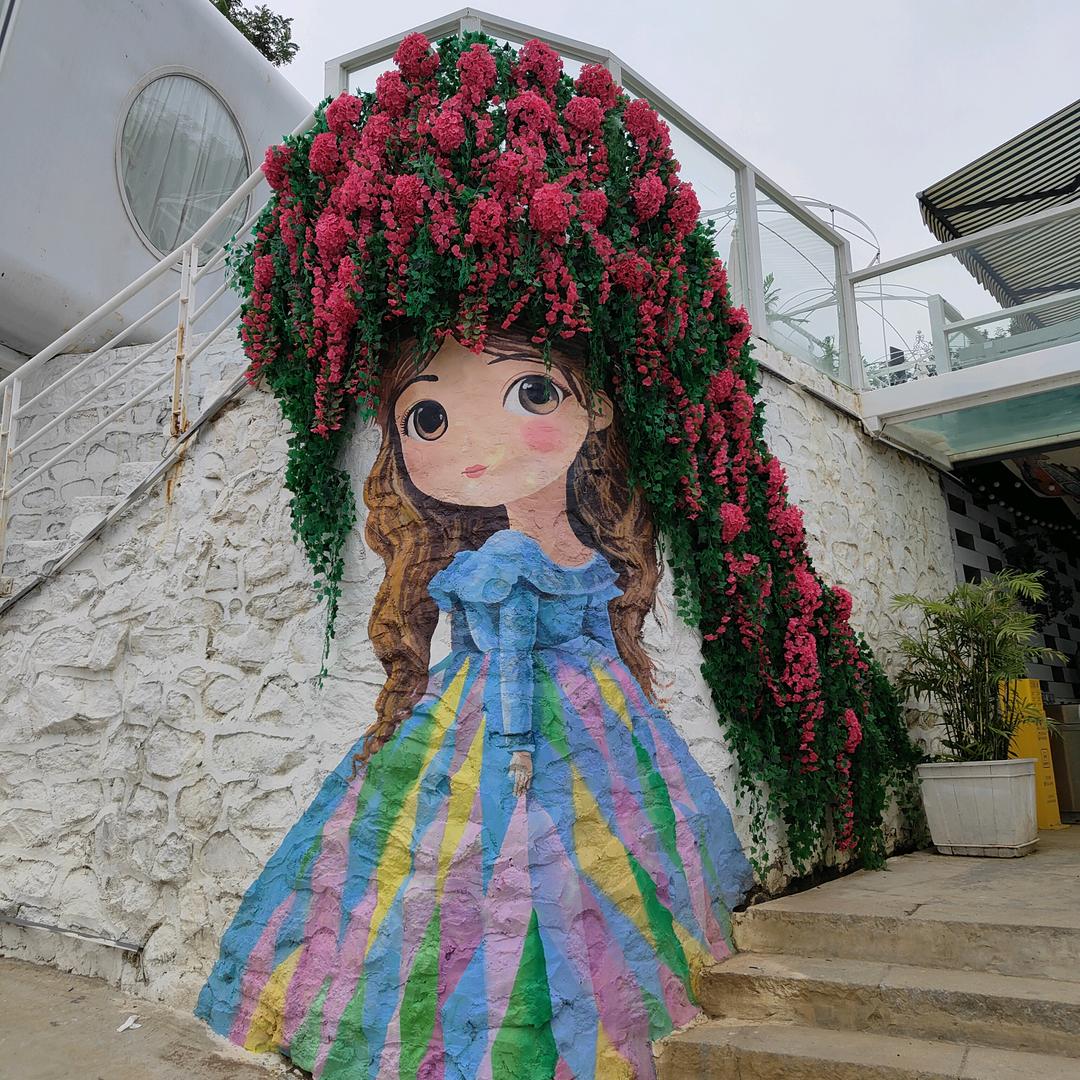 轩宇之翼