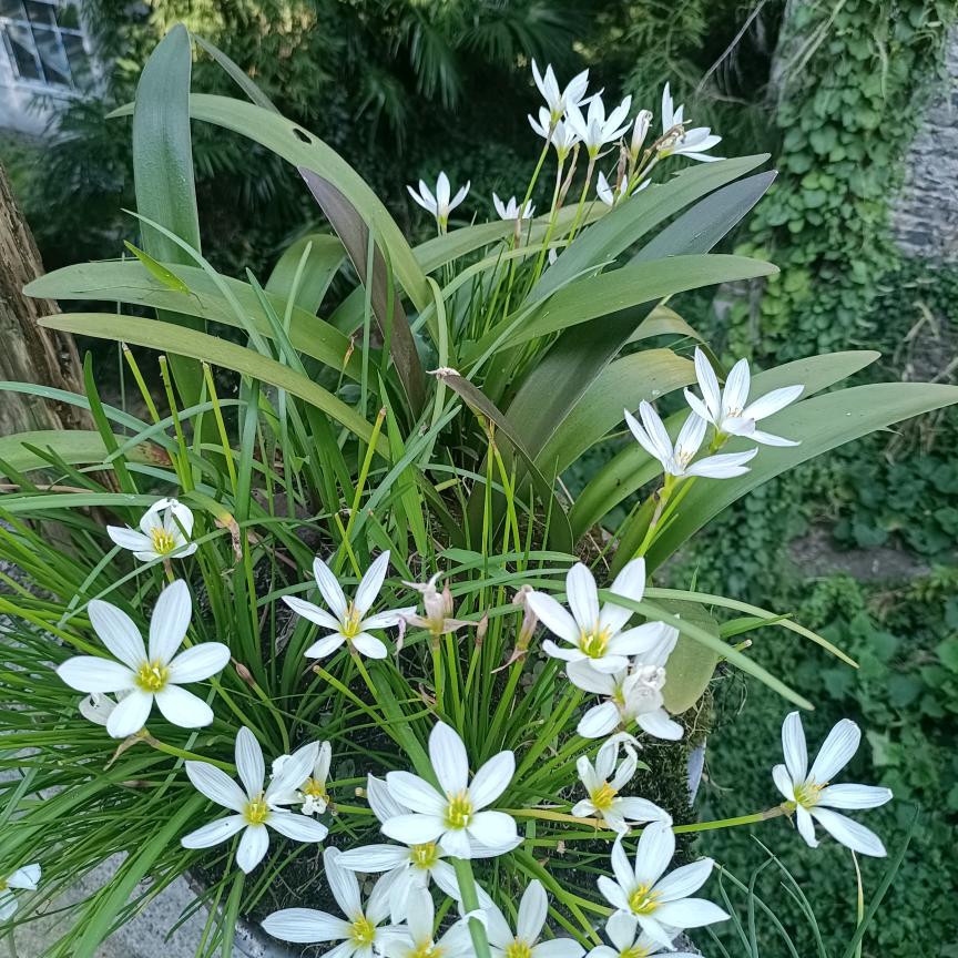 中心蓉蓉早餐店