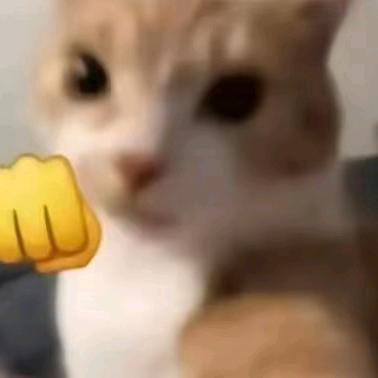 伊斯科