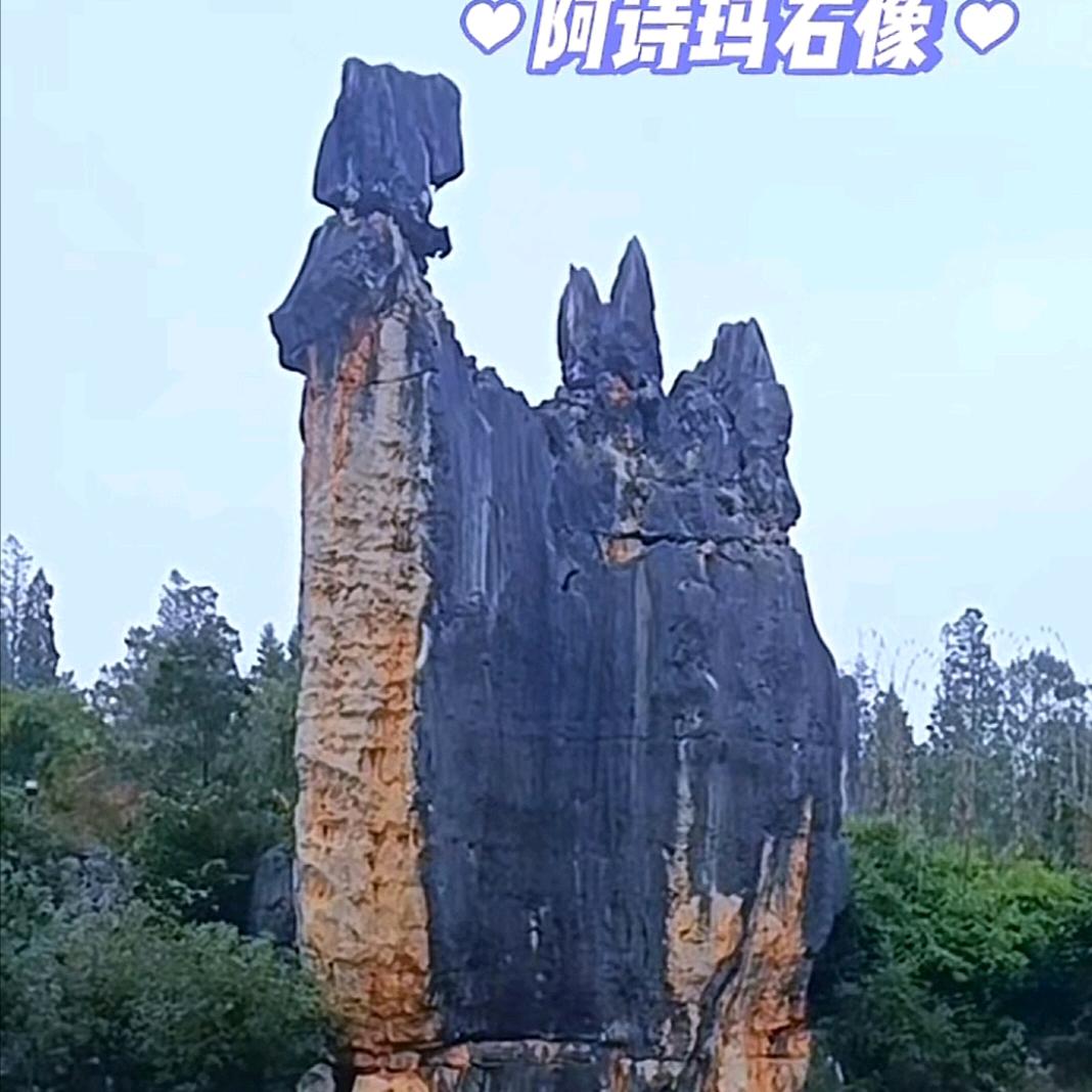 🎊🌴罗在其中🌴🎊