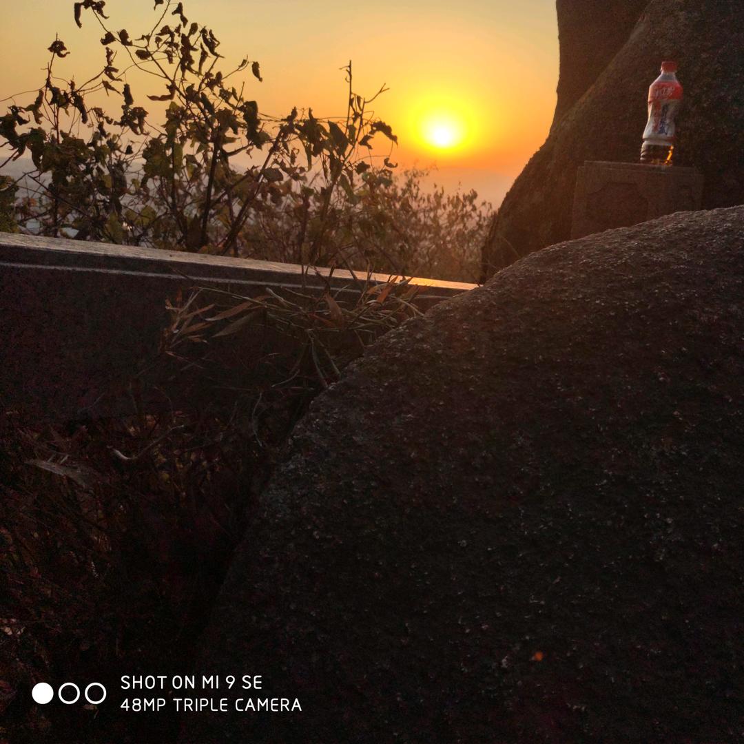 ✨阳光彩虹小白马✨ 🌐