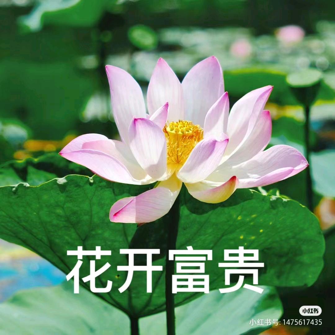 一