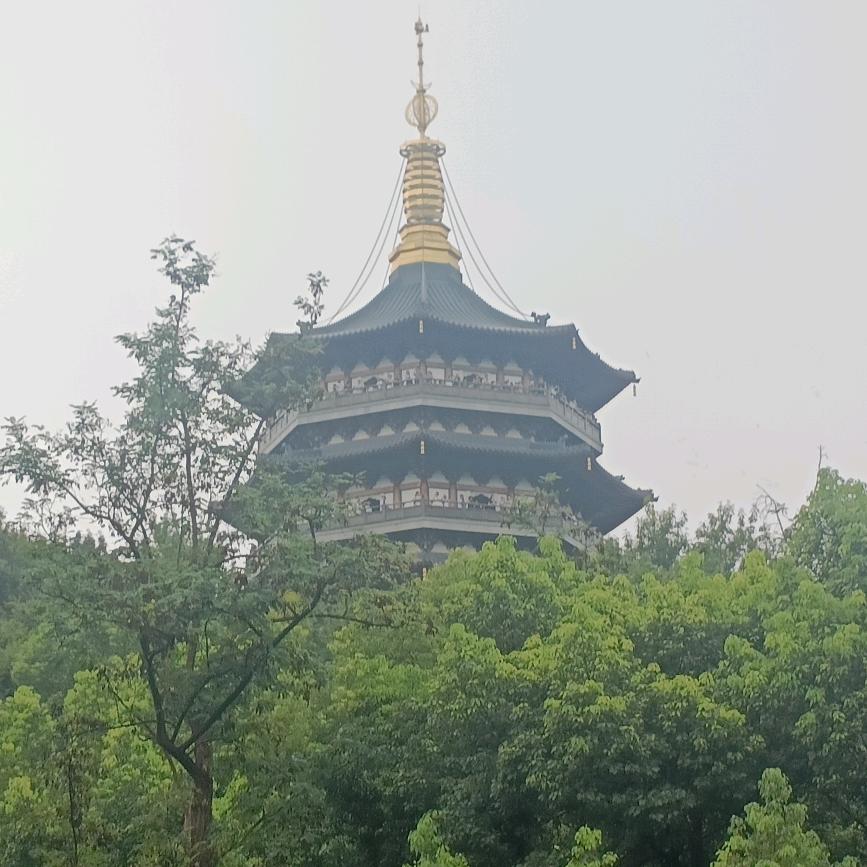 ✔晓伟