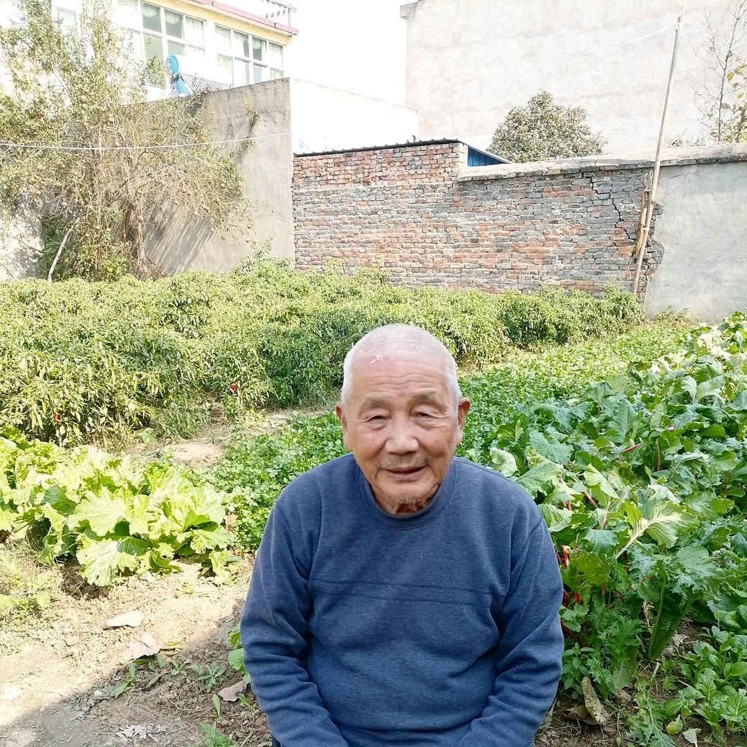 临涣老陈（小号下午一点十分直播）