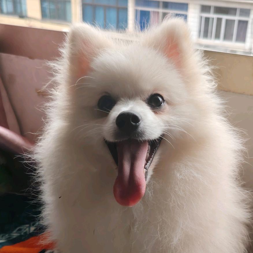 小目标
