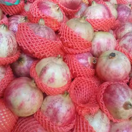 鲜果乐园，北方的狼好物