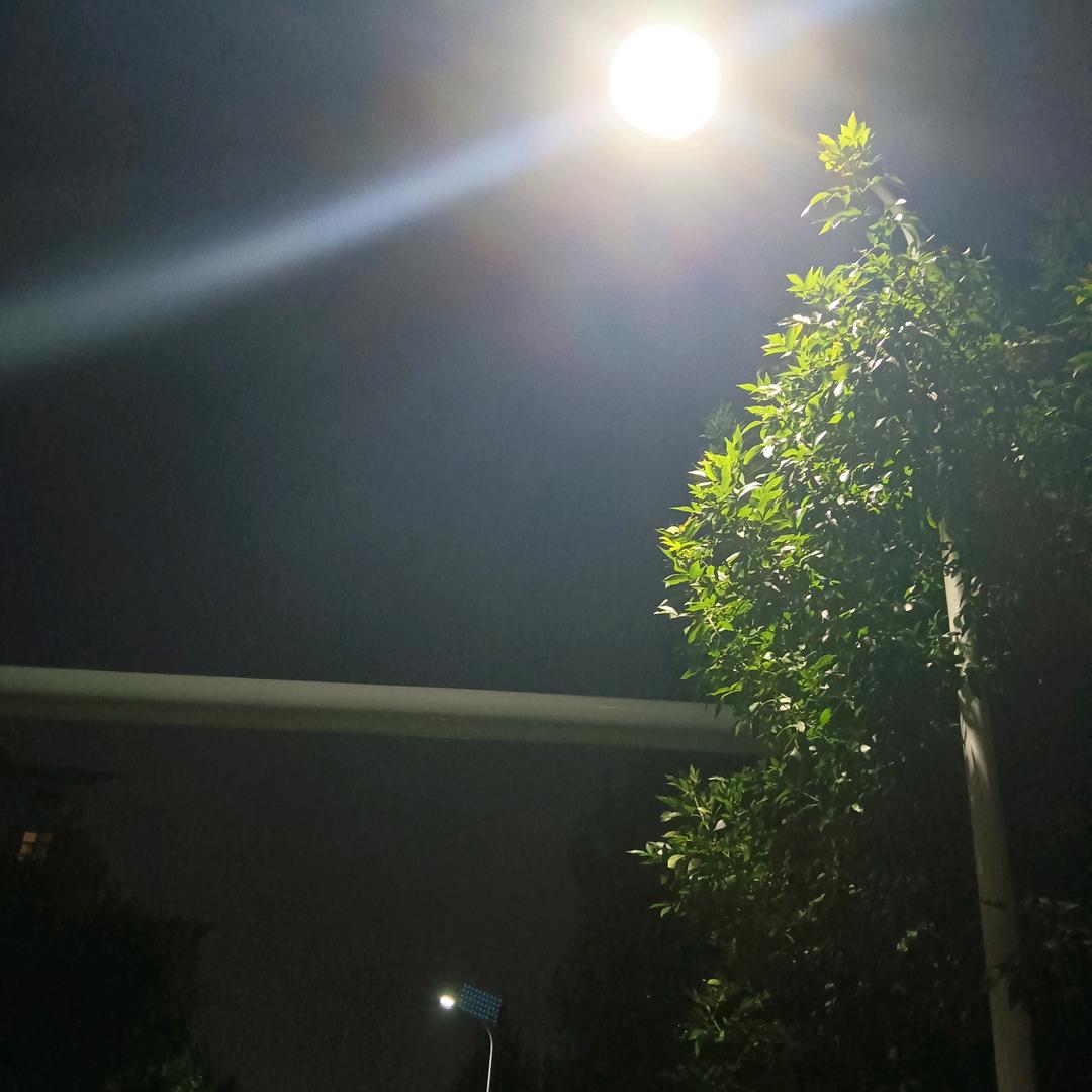 万豪琳宠粉号