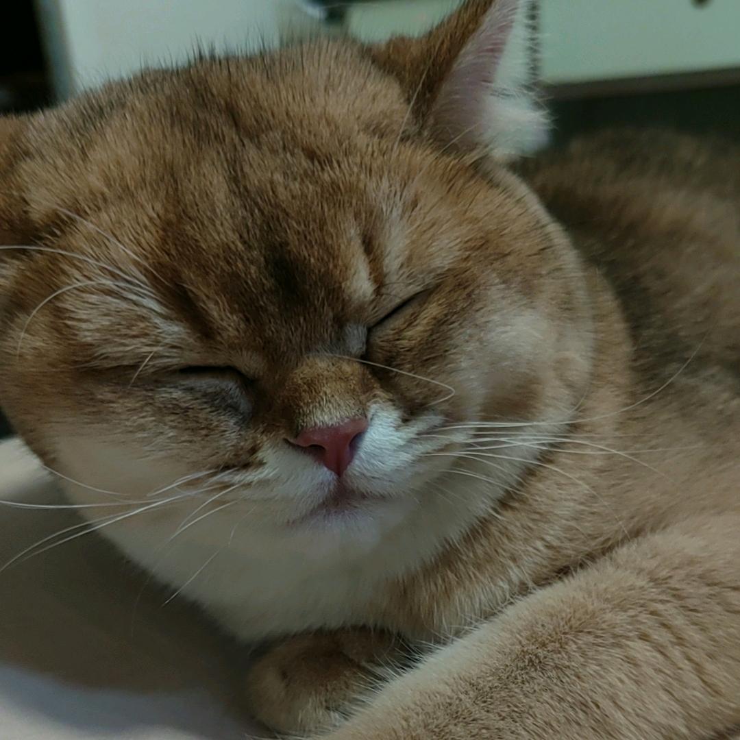 椒友，不焦虑