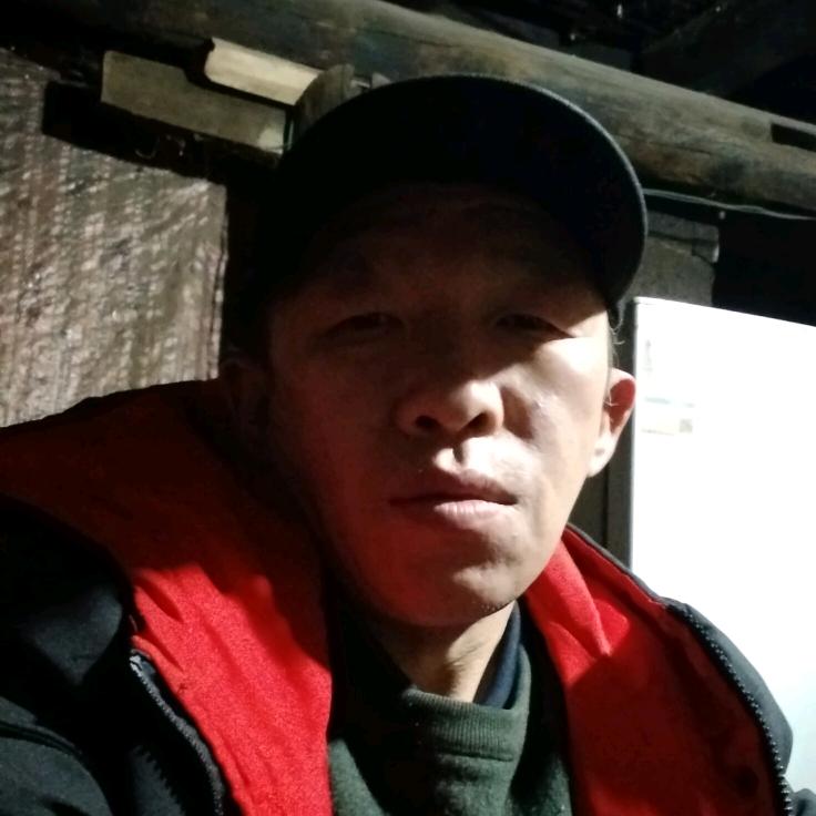 杜鹃花开等着你