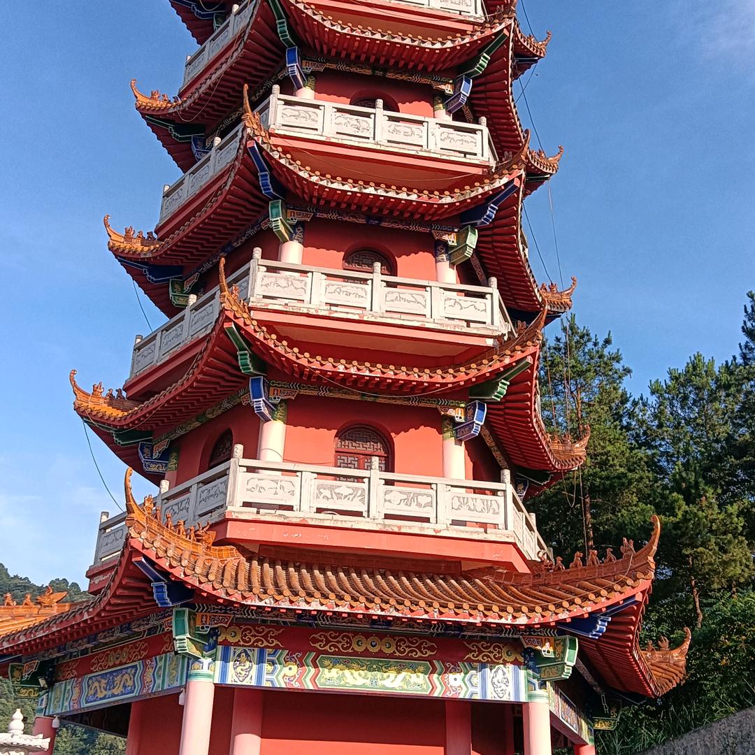 单身大叔
