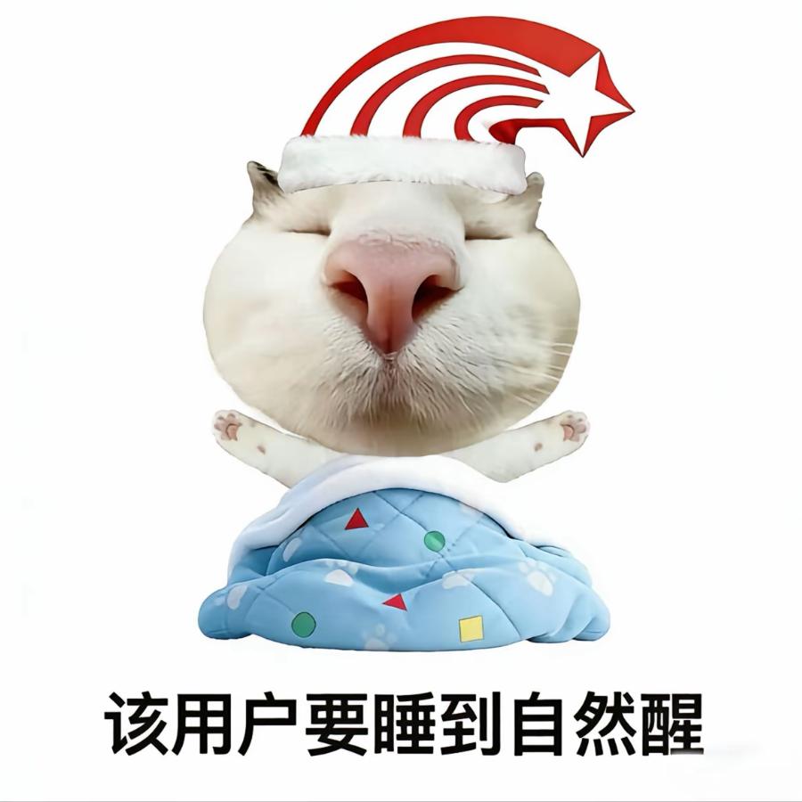 皮蛋solo粥
