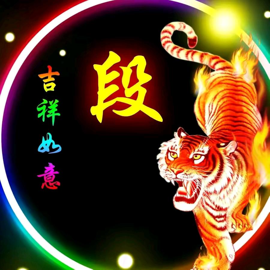 自由飞翔。