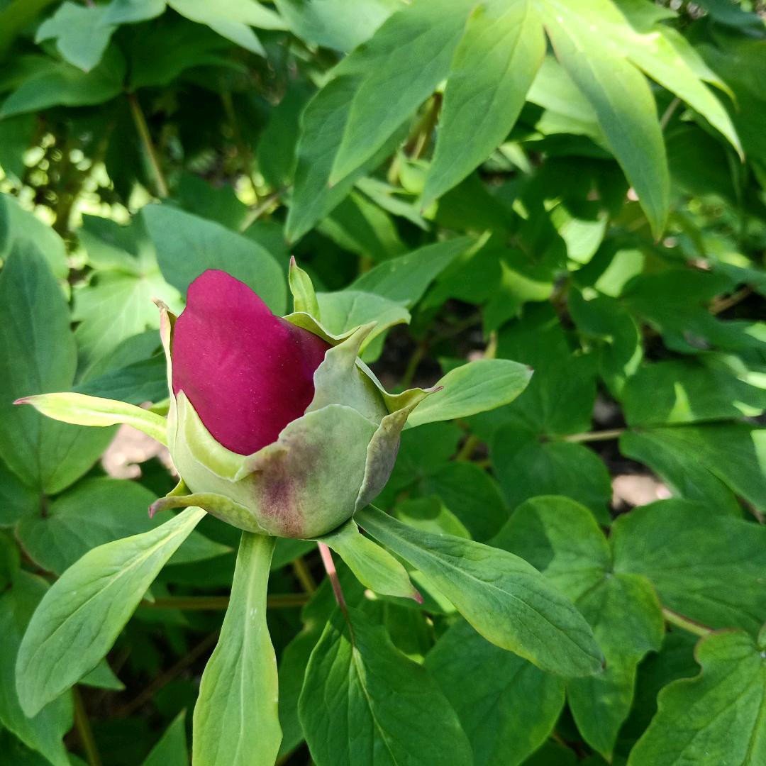 情在酒中建，心在酒中变