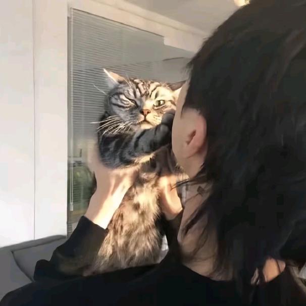 阿桓