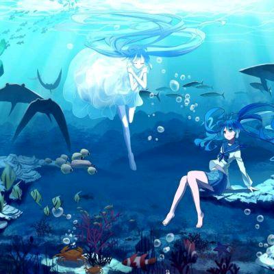 一间水族馆