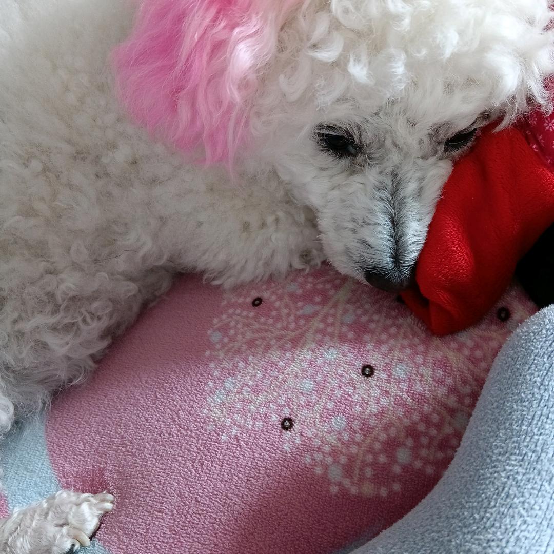 楊仟亿