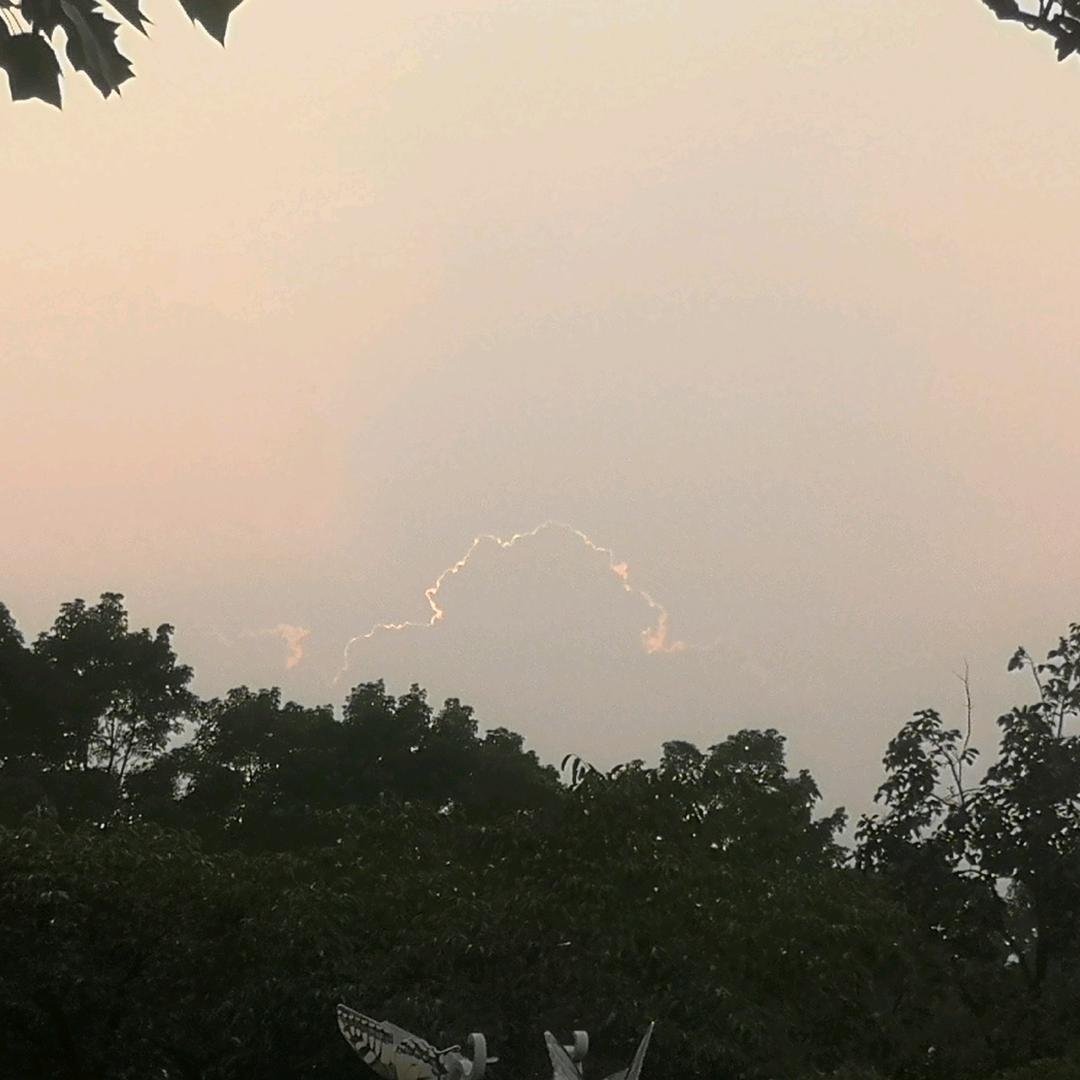 悠若菲雨