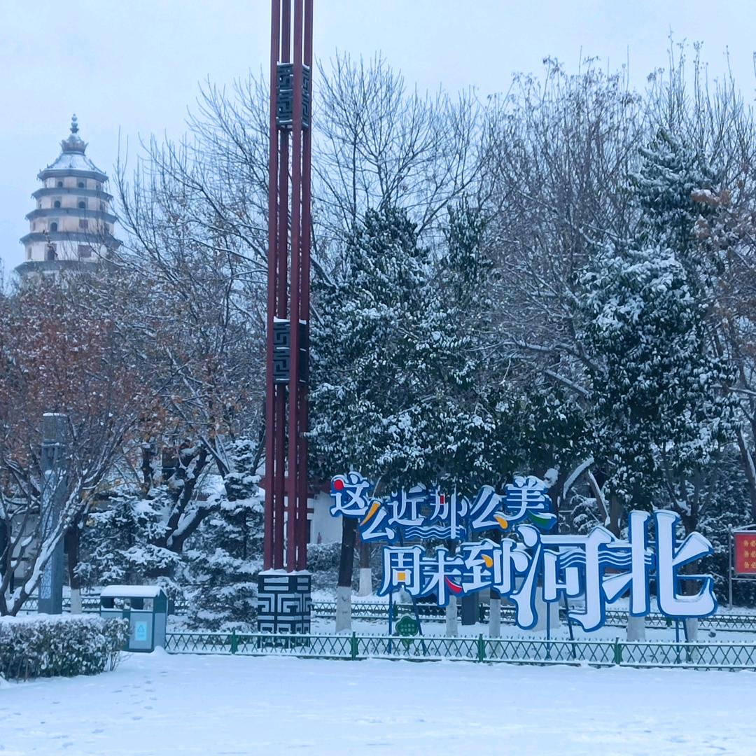 🌹石头追了个剧