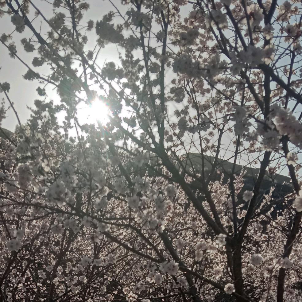 巛喜乐》……巛安康》