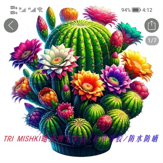 有缘哥