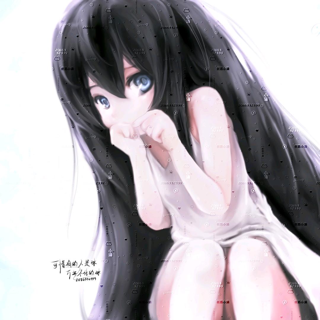 鲨鱼齿