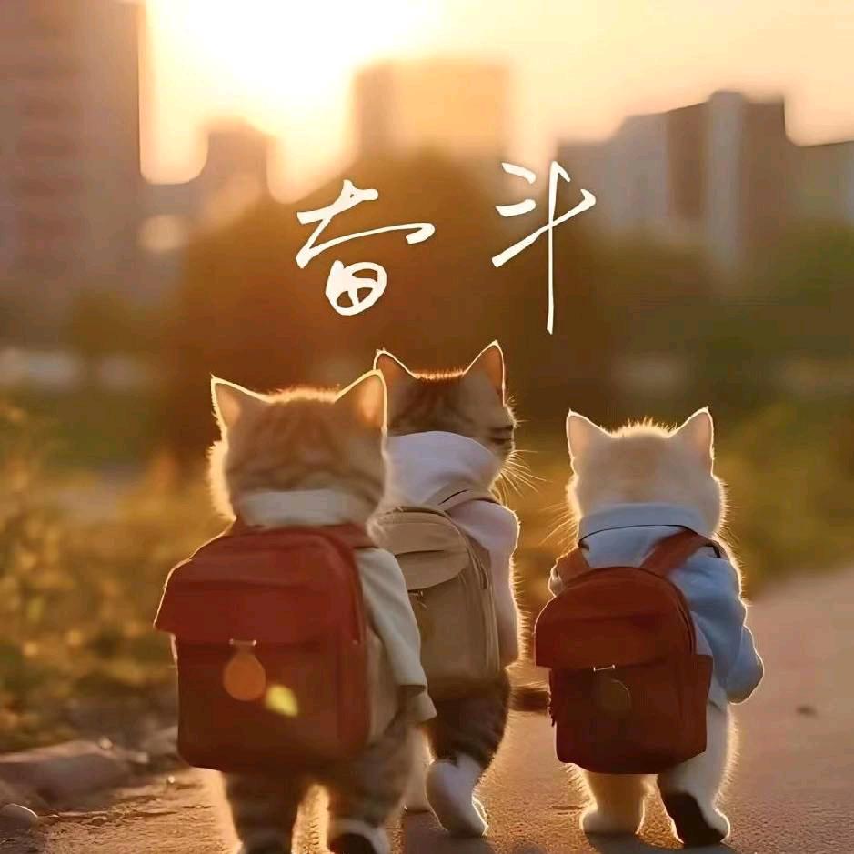 随风而行！