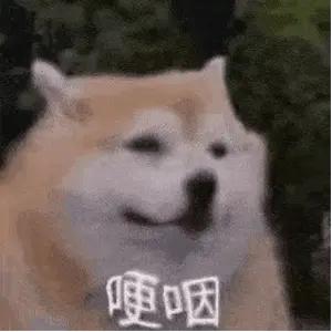 忘本贝利亚