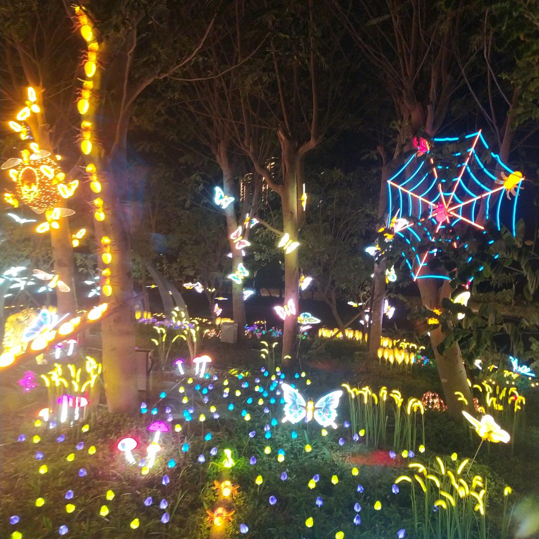 天若有情8780
