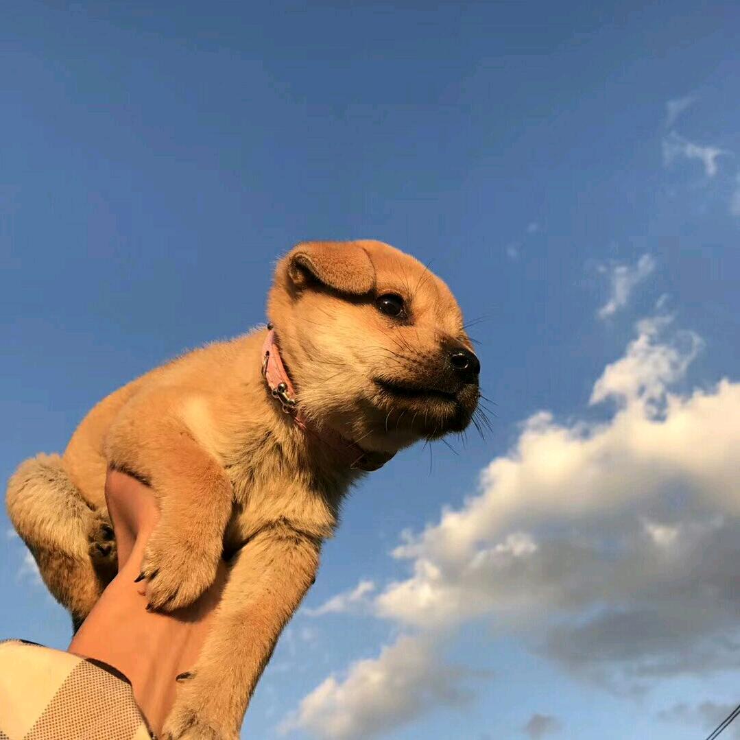 ～