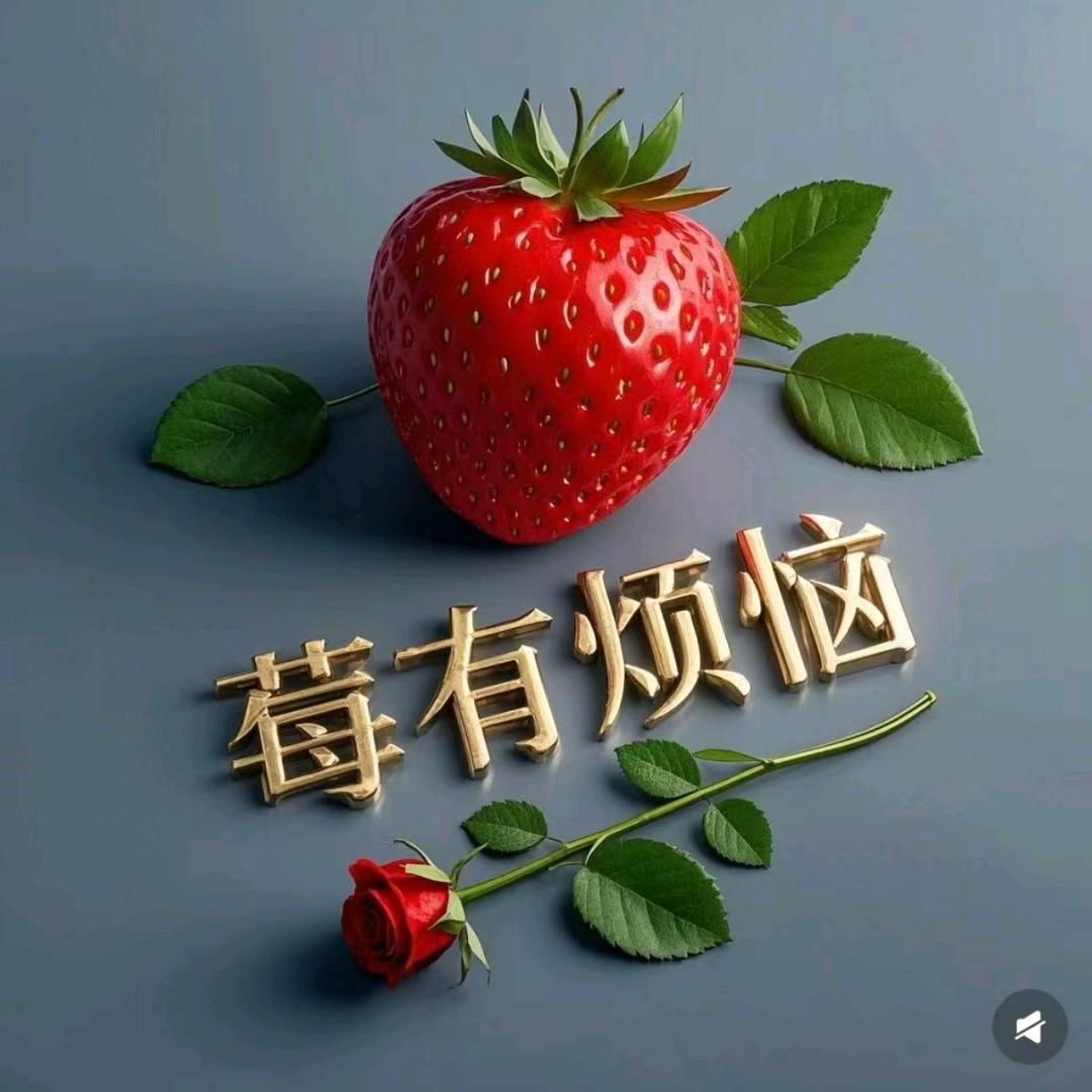 真石漆，腻子粉，乳胶漆，等