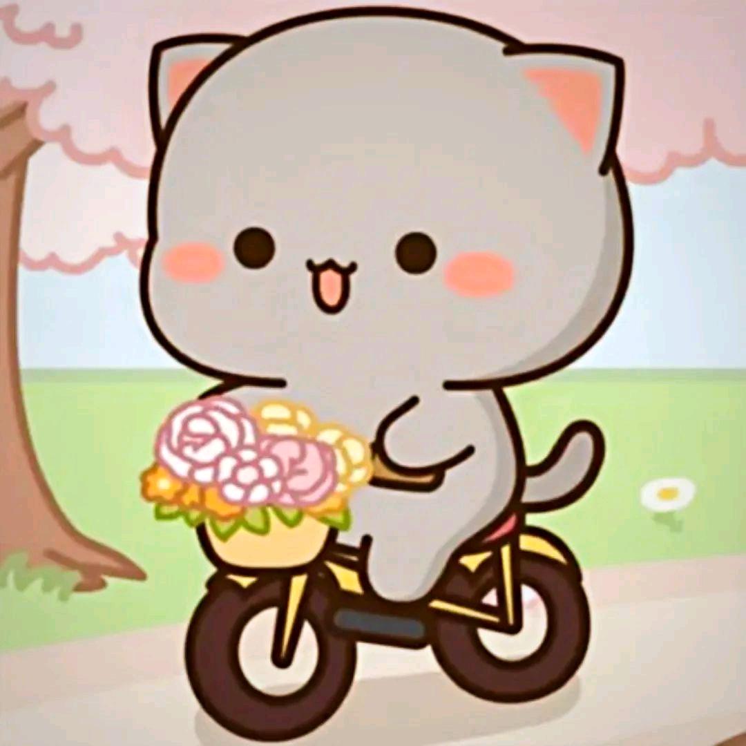 白睿