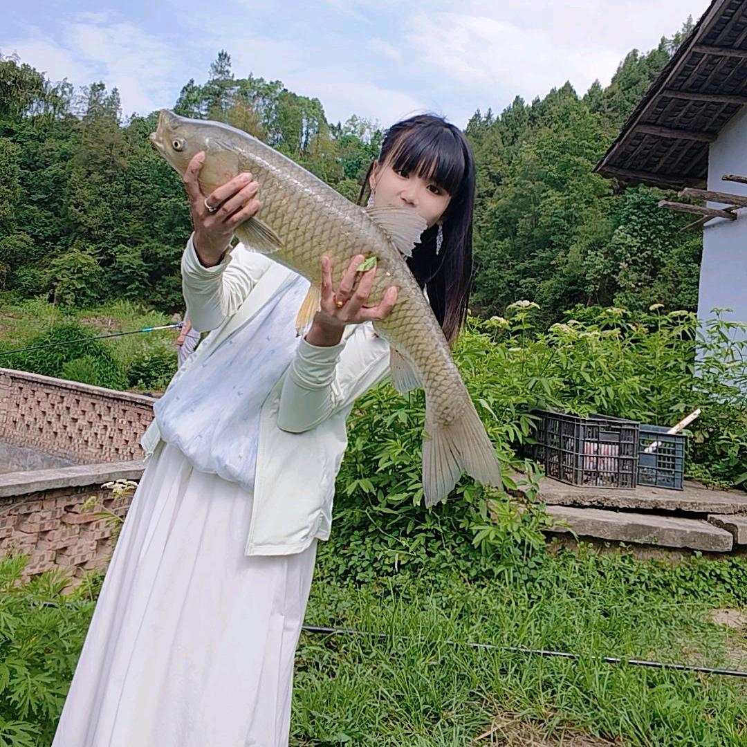 奶鲫妹妹