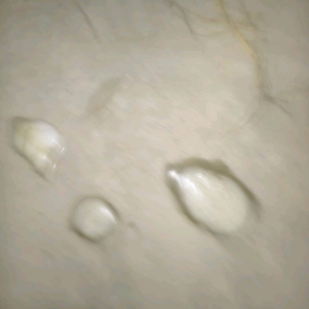 校友