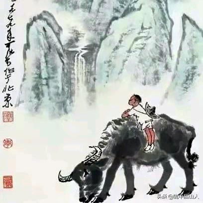 回老家创业养牛生活