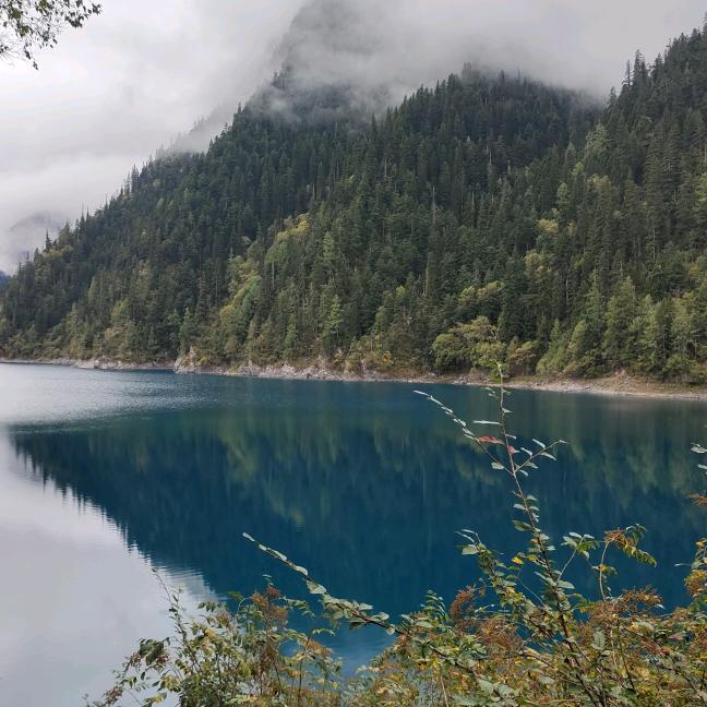 巳巳如意🌹🌹🌹