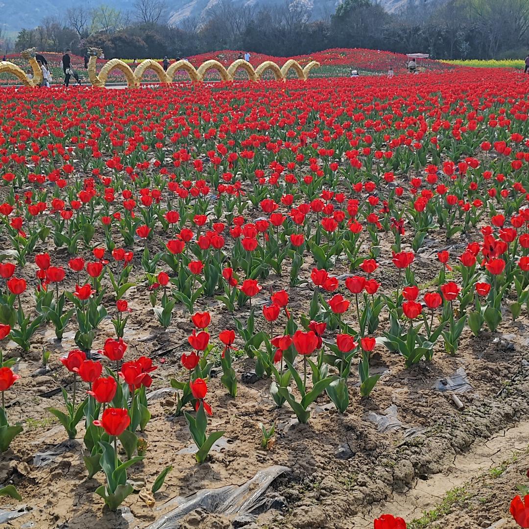 老玩童健康平安