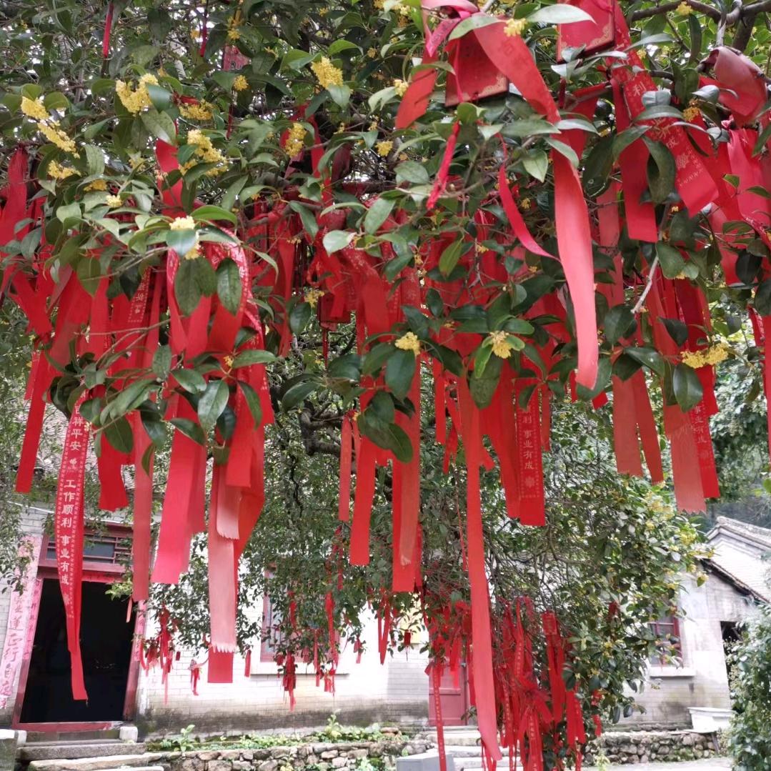 幸福快乐在一起🏤