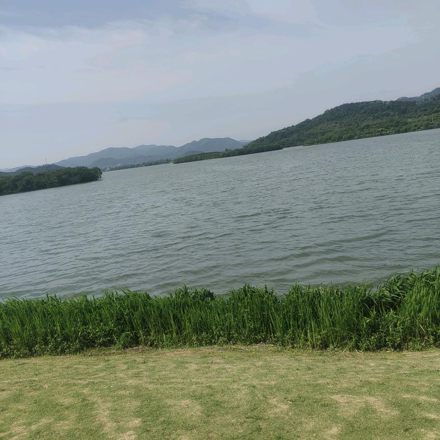 上虞小周