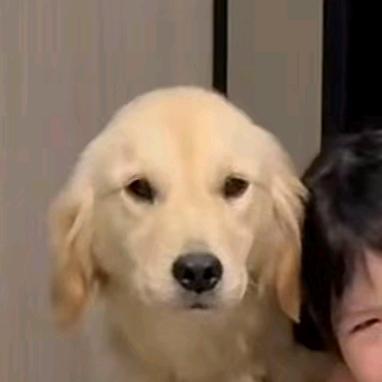 杰の自律日记