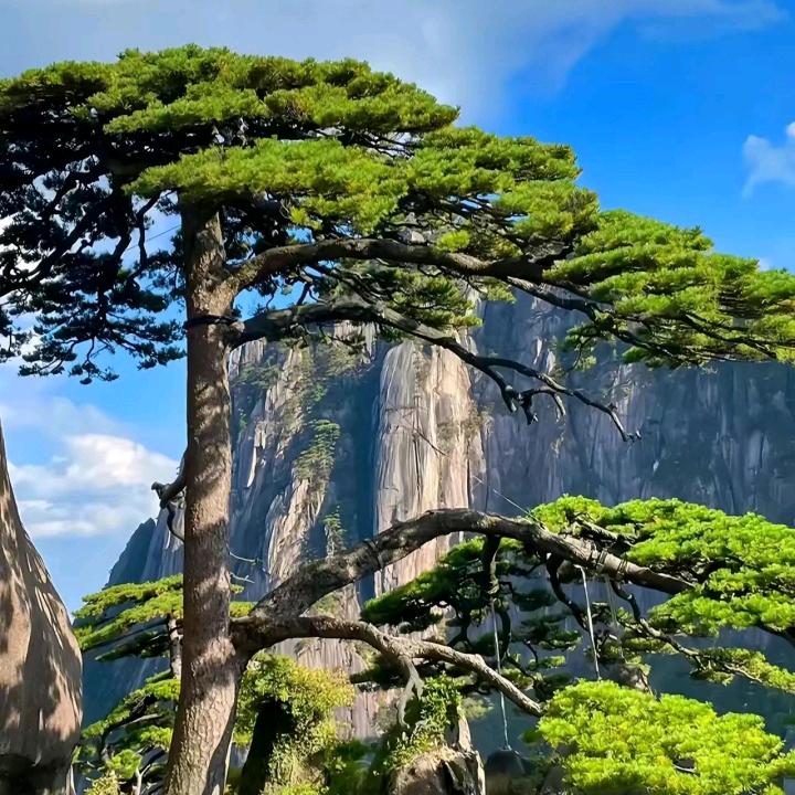 余生👉不再将就💘