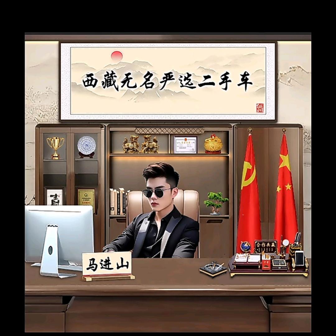 西藏无名二手车