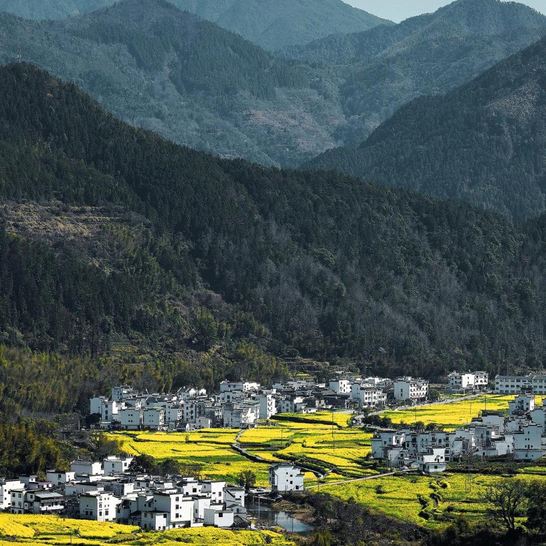 仪宸