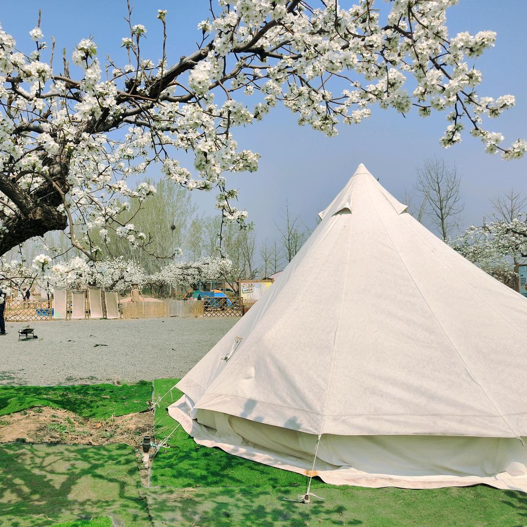 牧野田间露营地