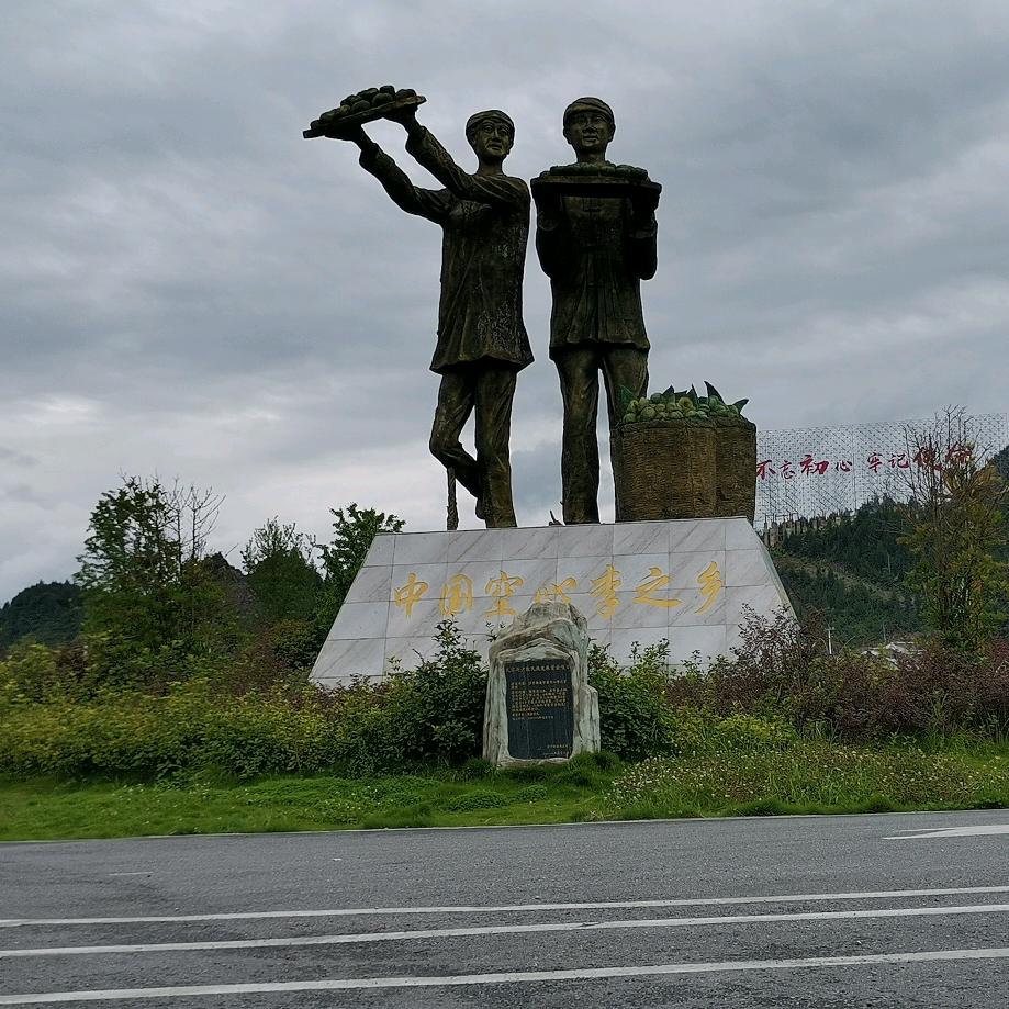 贵州军哥，炒粉炒饭