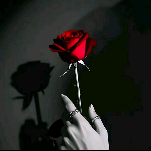 ꧔ꦿ℘💞᭄᪲ᩚ꯭ᩚ꧔ꦿ᭄꧔