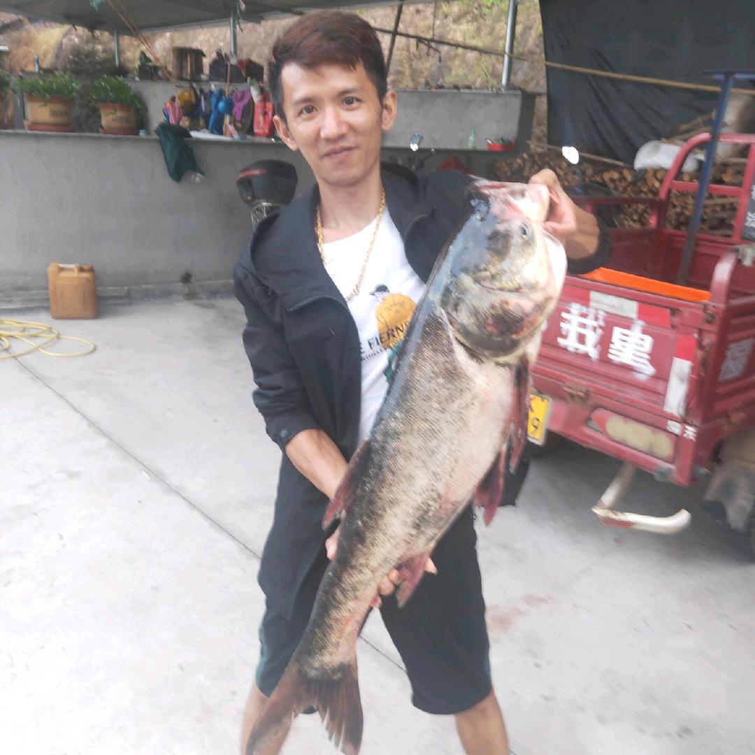 朱程副食批发